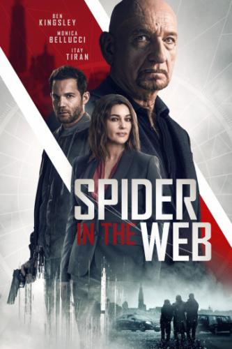 ������ ��������� ���� / Spider in the Web (2019)