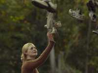 ��� ��������� �����