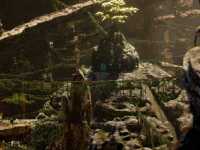 �������� ���� 2