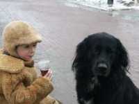 ��� ���� ����������