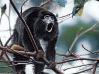 ��������: ���������� �� ���������