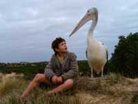 ��� ���� ������ ���������