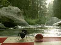 �������. ����������� � ������ ��������