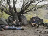 ������� 3. ����������� �����