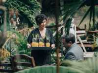 �� ���� ������