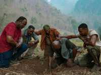 ������ ����� �����