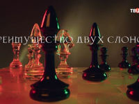 ������������ ���� ������