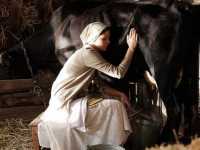 ����. ����. ��������