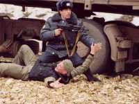 �������������