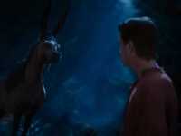 �����-��������