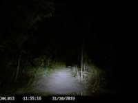 ���������� ����