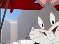 ����������� ����: ����� ���������