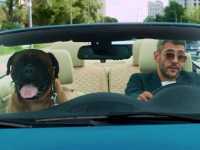 ���� � ������