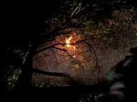 ������ ����