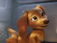 ������� ������� � ����