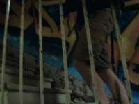 ��� �� �������