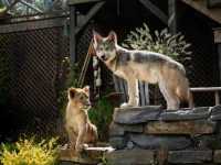 ���� � ���