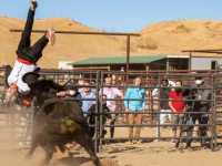 ������ ��������