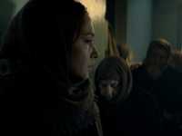 �����. ������ ������