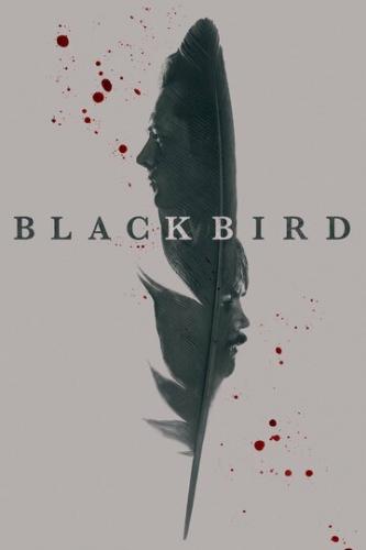 ׸���� ����� / Black Bird (2022)