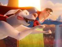 ������������