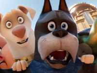 ������������