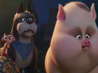 ������������