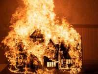 ���� ����: ������ ������