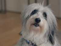 ������� ������ �����