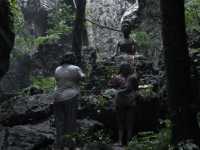 �������������� �������. ������