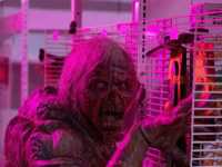 ׸���� �������