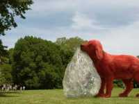 ������� ������� ��� ��������