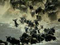 ����� ���������� �� �����