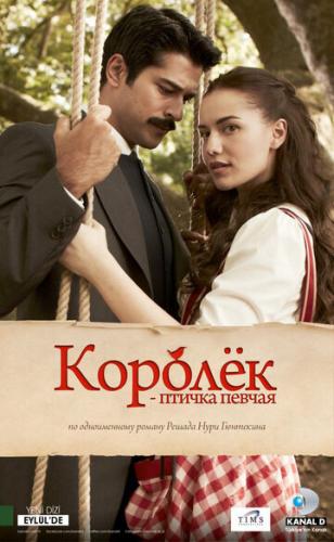 ������ - ������ ������ / Calikusu (2013)