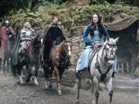 �������������