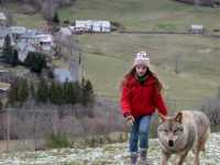 ��� ����