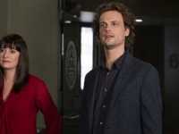 ������� ��� ����������