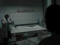 ���������. ������� �����