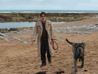 ��� ������ �����