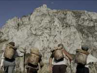 ����� �������