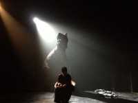 ����������