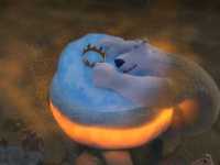 ���� � ������������: �������� ��������