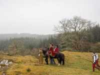 ��� ��������