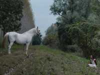 Italian Best Shorts 5: ����� ��� ����