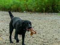 ��� �� ����