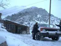 ������ ����