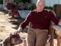 ������� ����: �����