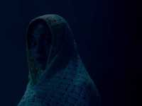 ���� ����