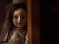 ��������. ������ �����������