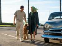 ����� �����